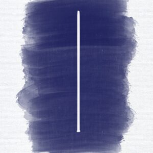 Delphinium